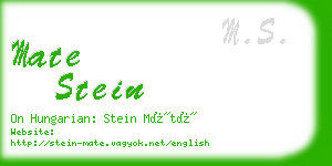 mate stein business card